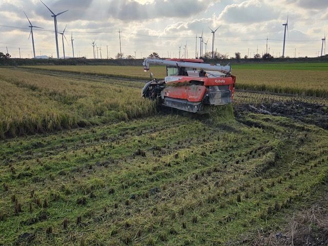 볏짚 환원 농지