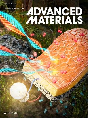 어드밴스드 머티리얼스 표지에 실린 연구성과 