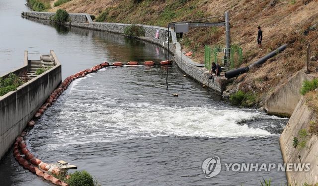 낙동강 식수 불안
