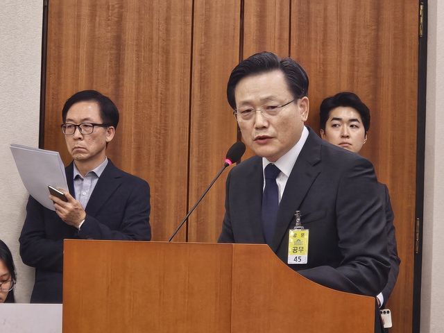 29일 증인으로 출석한 김이배 제주항공 대표