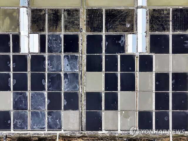 소금 결정 맺히는 태평염전