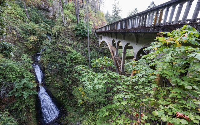 셰퍼드 델 브리지 [사진/임헌정 기자]