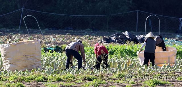 더 추워지기 전에