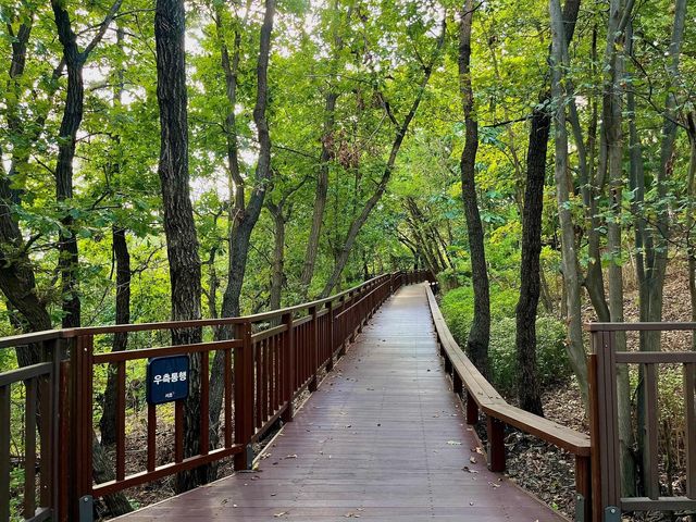 서리풀공원 무장애숲길 1·2단계 구간 연결로 