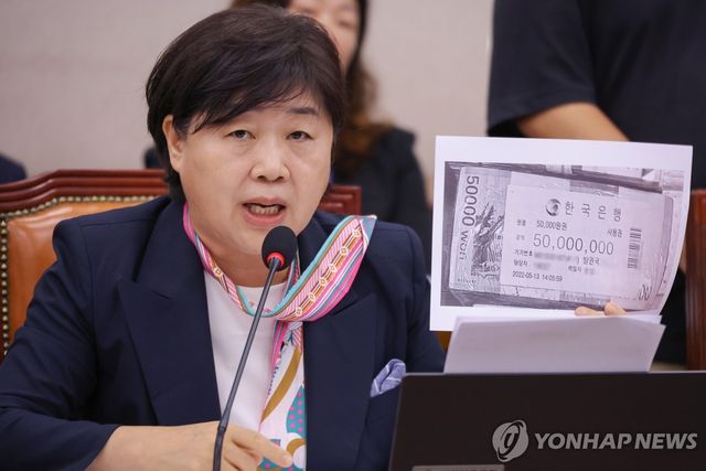 법사위서 발언하는 서영교 의원