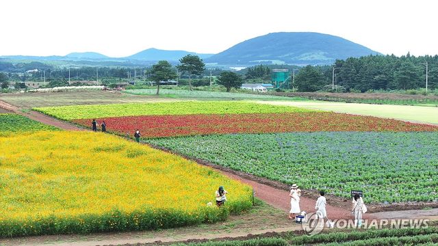 서귀포시 표선면 성읍리에 위치한 보롬왓
