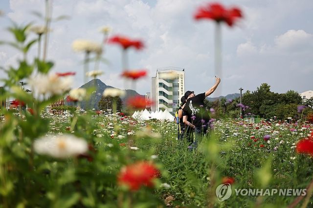 가을이 불어 오는 곳