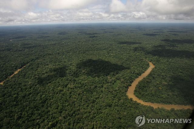 아마존 열대우림