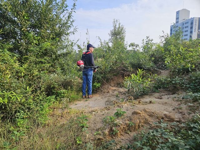 산소 절토된 터에서 허탈해하는 장씨