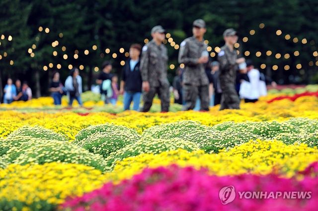 가을꽃 물결 속으로