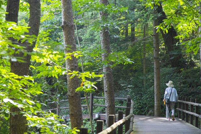 청계산맑은숲공원