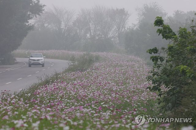 가을 안개 자욱한 판문점 가는 길