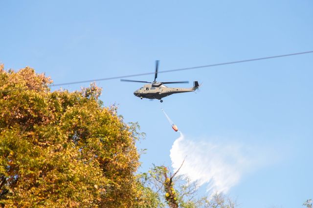 산불 진화 훈련 모습