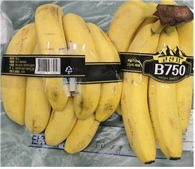 회수 대상인 바나나