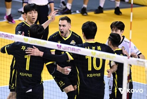 환호하는 KB손해보험 선수들
