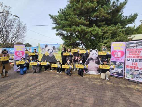 "푸바오 돌아와"