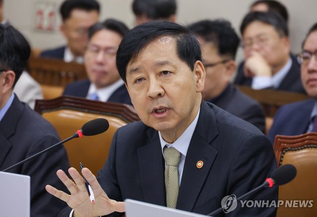 발언하는 구윤철 부총리