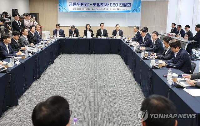 금융위, 보험회사 CEO 간담회 개최