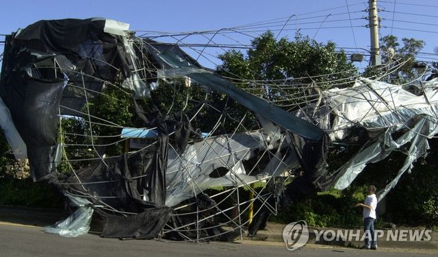 태풍 매미 버스정류장 덮친 비닐하우스