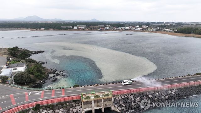 제주시 구좌읍 하도리 철새도래지 AI 방역