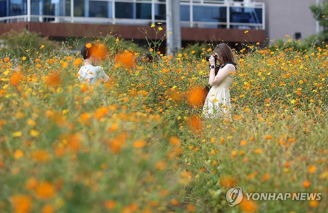 가을이 불어오는 곳