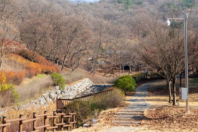 의주길 제5길 임진나룻길