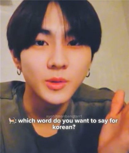 [틱톡 이용자 'ayohitmanbangtan1' 영상 캡처. 재판매 및 DB 금지]