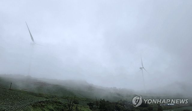 구름에 쌓인 안반데기 '장관'