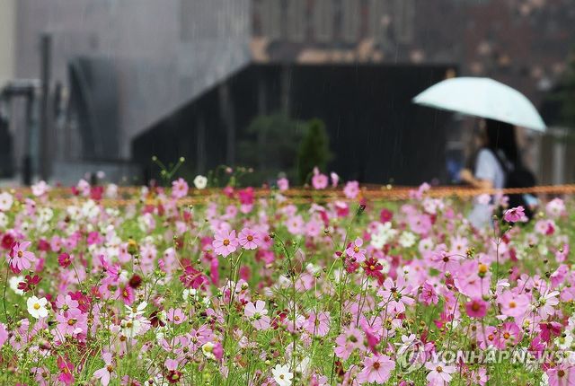 가을비 내리는 풍경