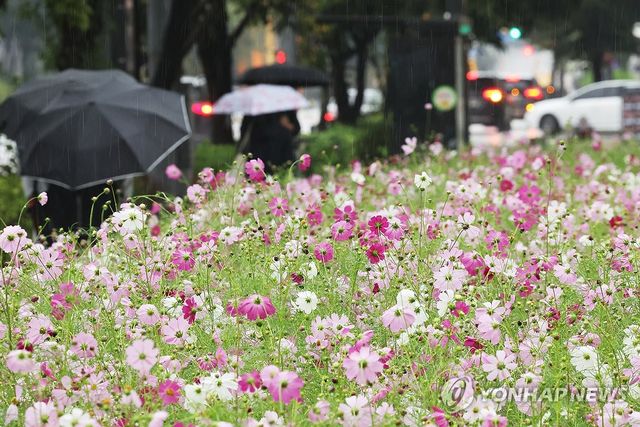 가을비 내리는 풍경