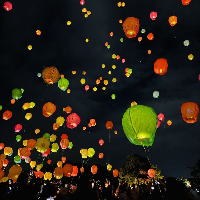 소원등 날리는 축제 참가자들