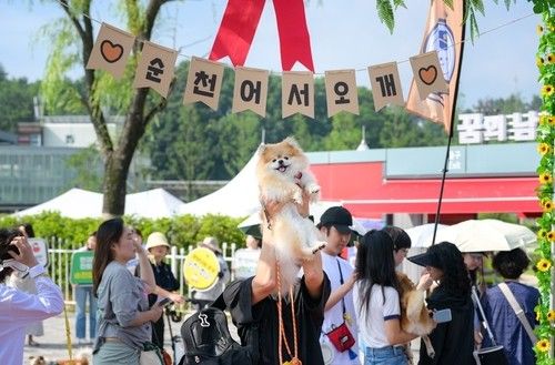 "순천 어서오개"