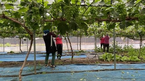 도시농부 지원 현장