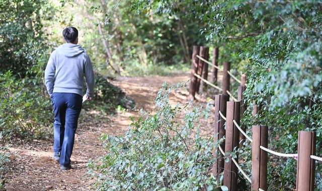 제주 머체왓숲길