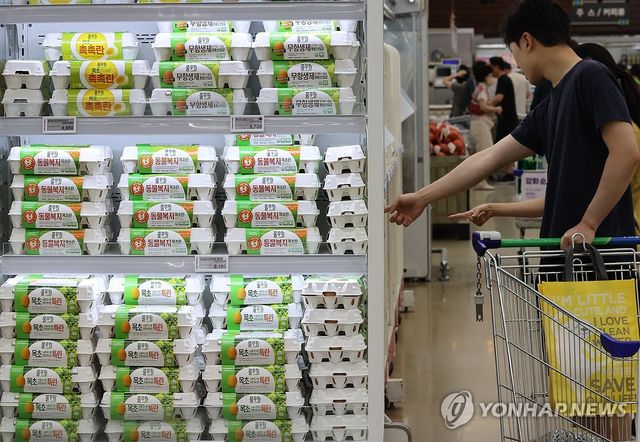 달걀 가격 저렴해질까?