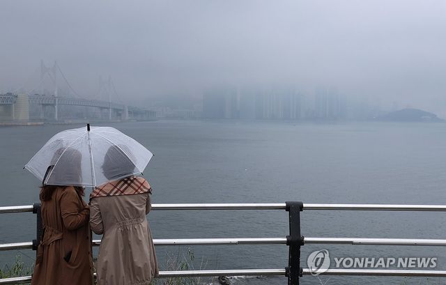 비 내리는 부산 이기대