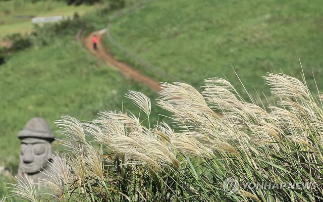 억새 출렁이는 새별오름