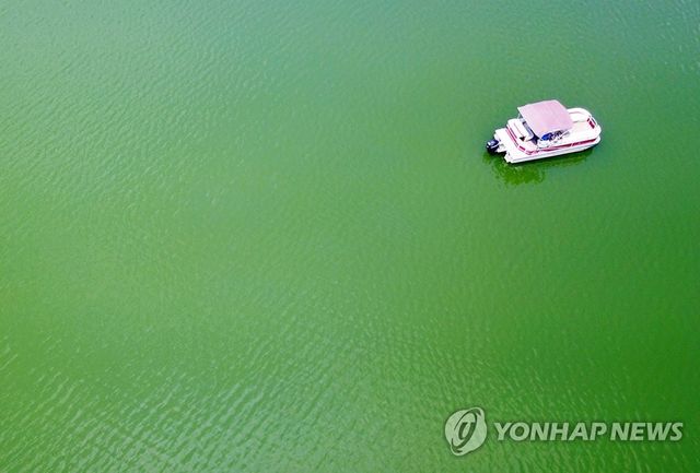 녹색으로 변한 저수지