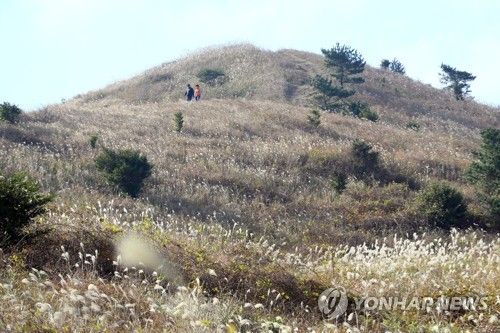 가을 따라비오름