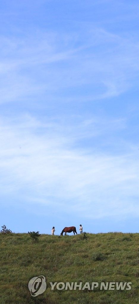 용눈이오름의 가을