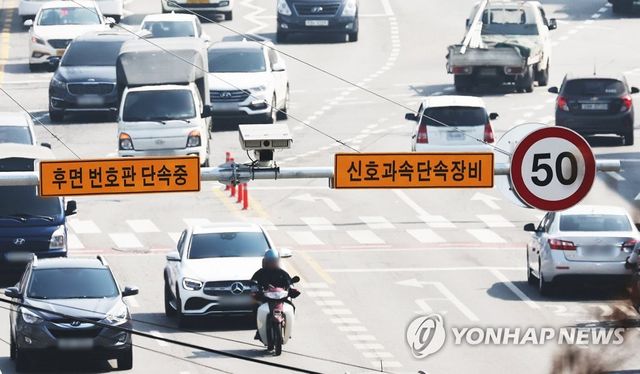 후면 번호판 단속