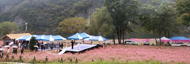 제6회 붉은 메밀꽃 축제