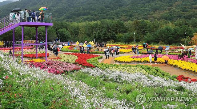 추석 연휴 가을꽃 축제