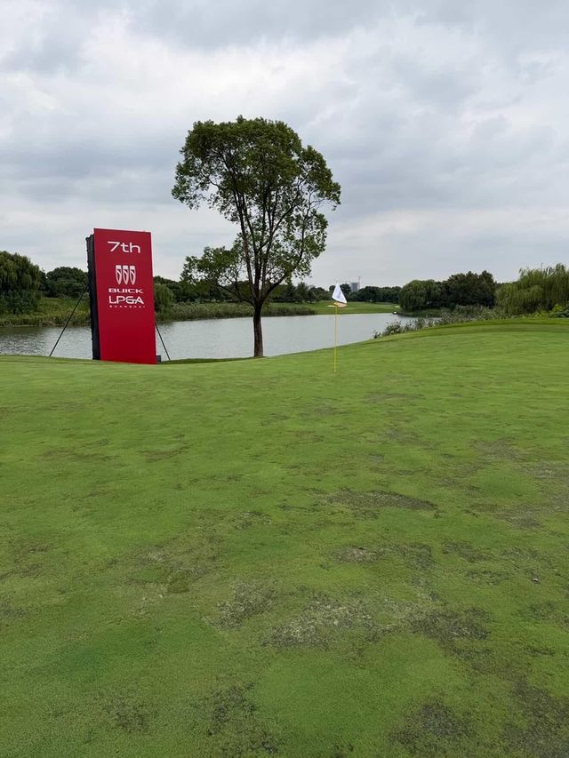 매슈 갤러웨이가 자신의 소셜 미디어에 올린 그린 상태. 