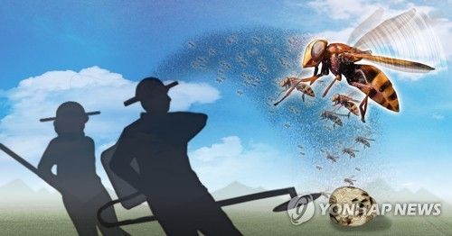 벌초·제초작업 중 벌 피해(PG)