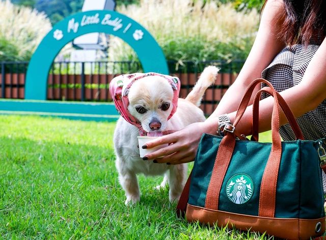 반려동물과 함께 찾은 스타벅스 더북한강R점