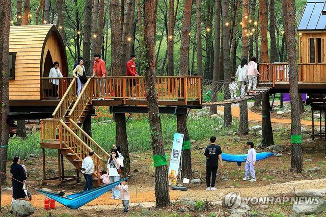 인제 가을꽃축제에서 '힐링하길'