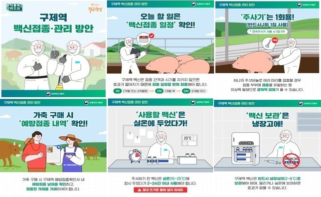 구제역 백신 접종 관리 방안 카드뉴스