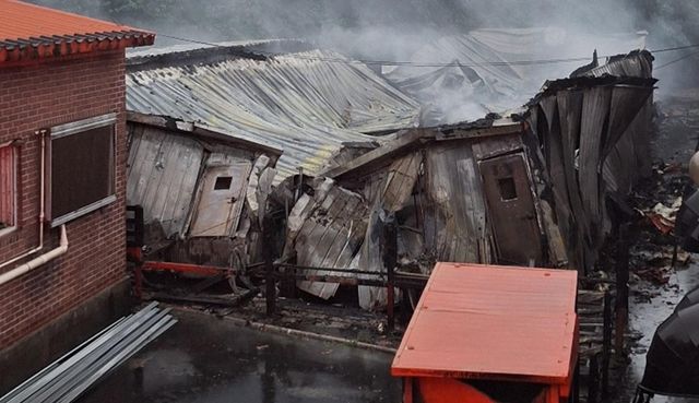 영덕 돈사 화재