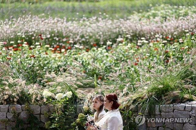 가을이 불어 오는 곳